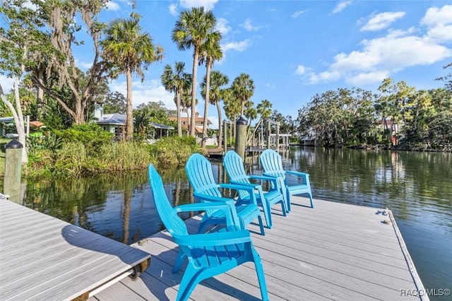 1055 N Crescent Dr, Crystal River, FL 34429 - photo 45