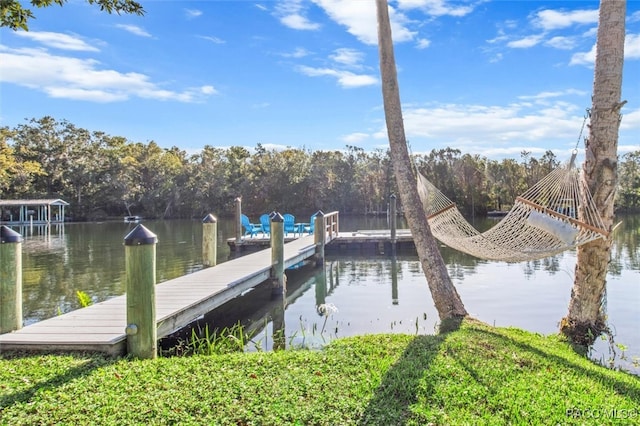 dock area featuring a water view