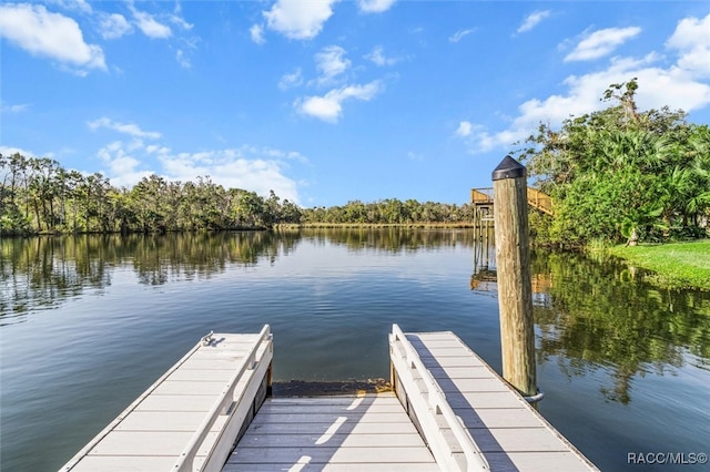 dock area featuring a water view