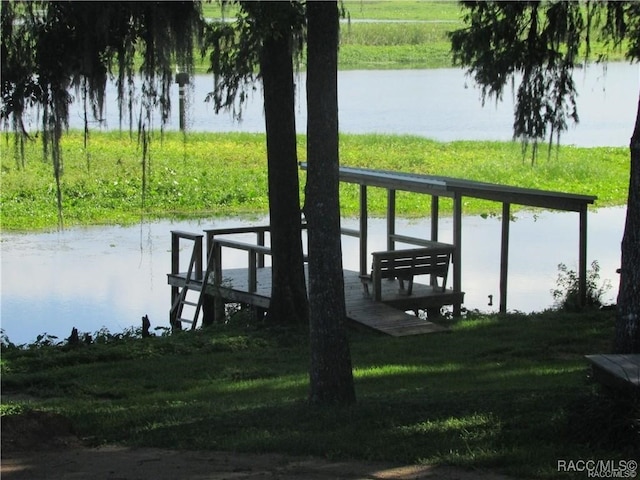 dock area with a water view and a yard