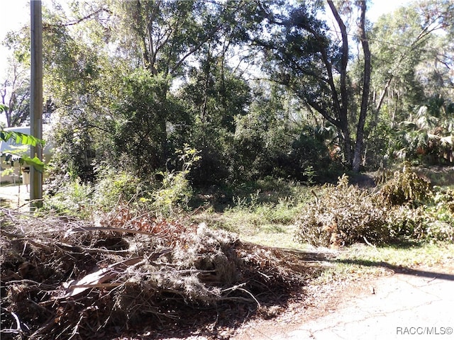 view of local wilderness