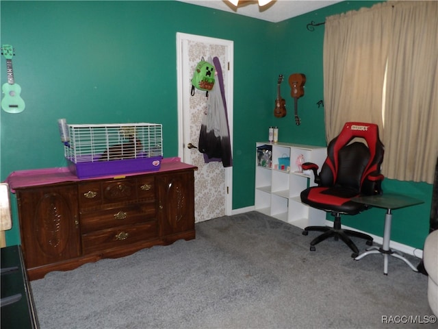 bedroom featuring carpet