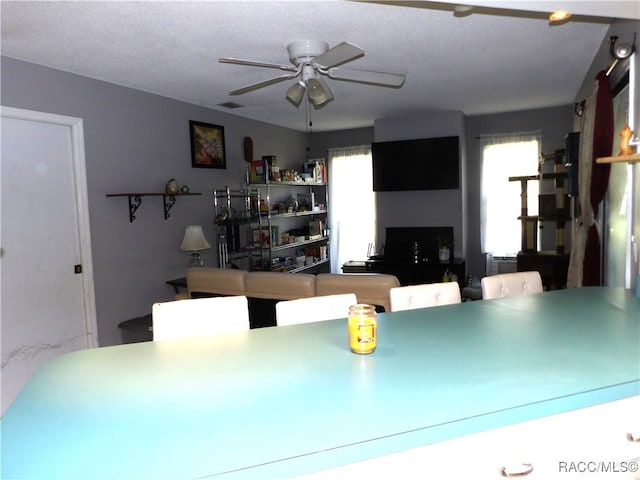 interior space with a textured ceiling, a wealth of natural light, and ceiling fan