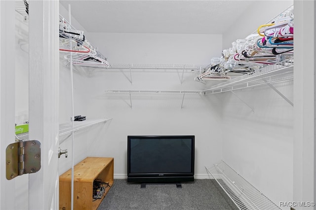 spacious closet featuring carpet floors