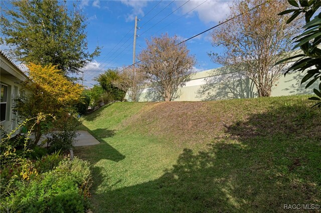 view of yard featuring a patio area