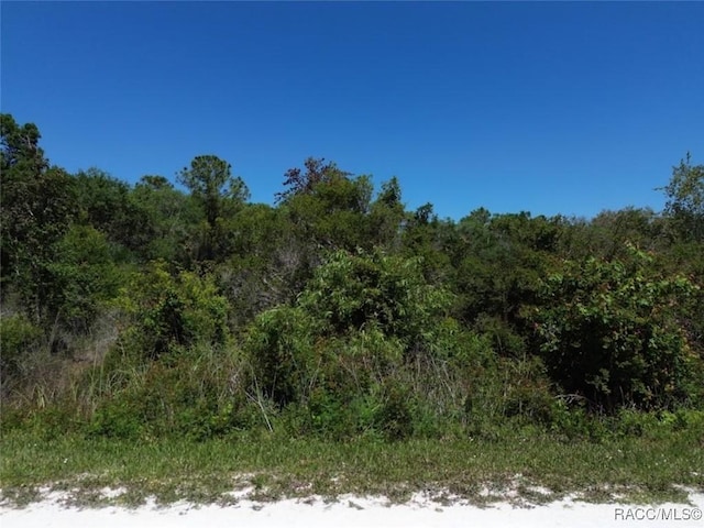 33455 Berryhill Dr, Webster, FL 33597 - photo 1