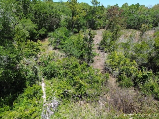 33455 Berryhill Dr, Webster, FL 33597 - photo 3