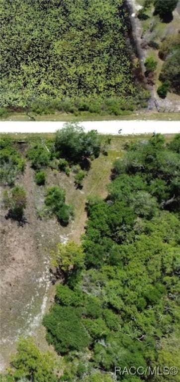 33455 Berryhill Dr, Webster, FL 33597 - photo 7