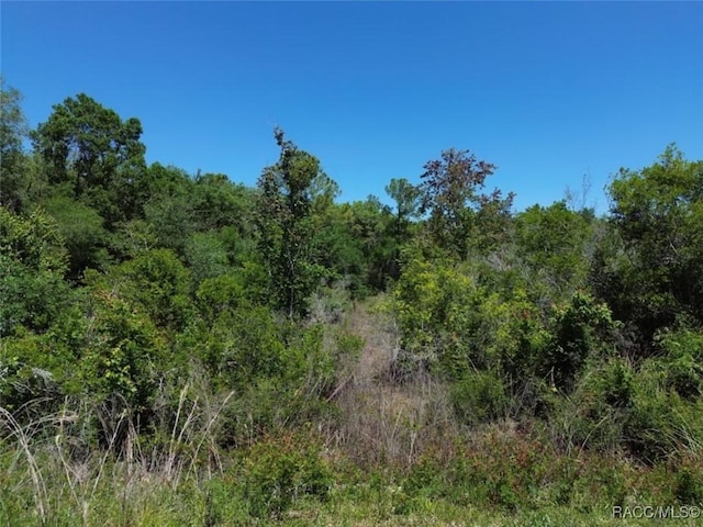 33455 Berryhill Dr, Webster, FL 33597 - photo 2