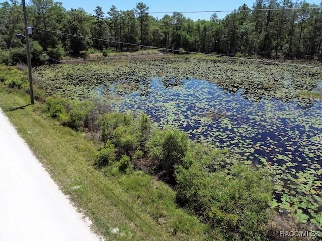 33455 Berryhill Dr, Webster, FL 33597 - photo 5