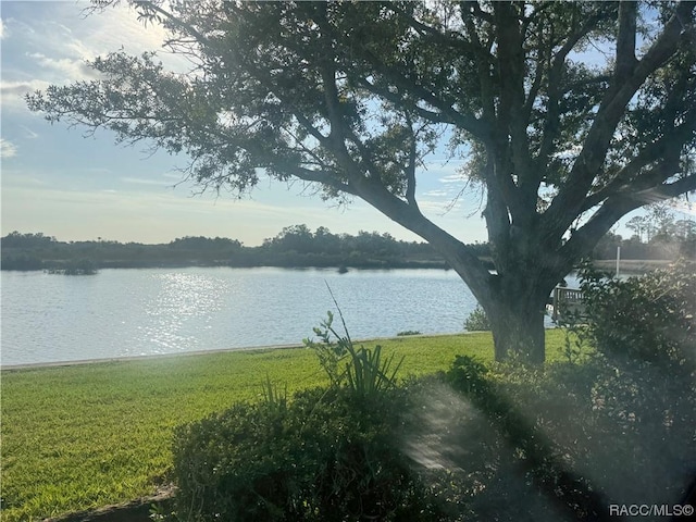 water view