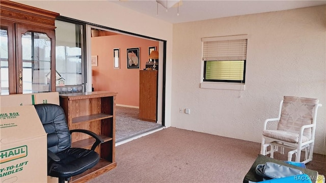 office area featuring carpet flooring