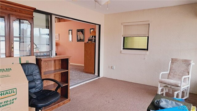 office featuring carpet floors