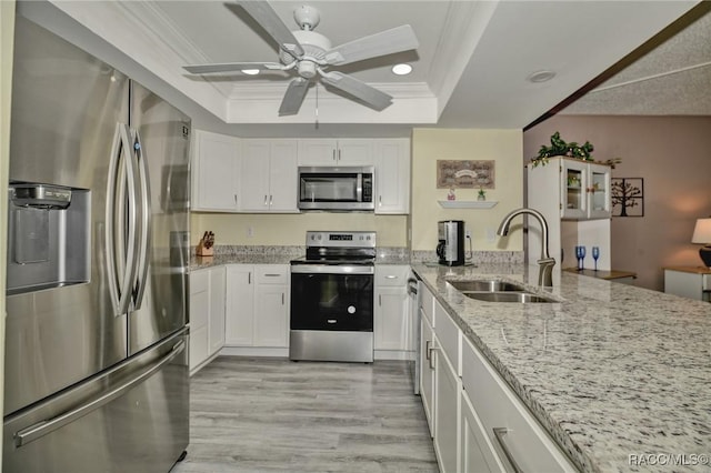 kitchen featuring stainless steel appliances, a sink, white cabinetry, a raised ceiling, and crown molding