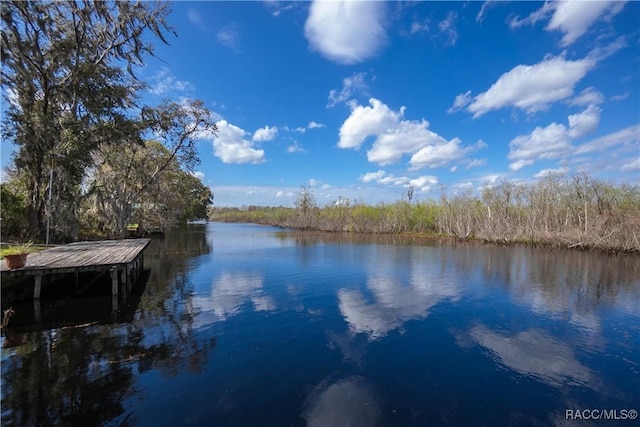 5463 S Withlapopka Dr, Floral City, FL 34436 - photo 51
