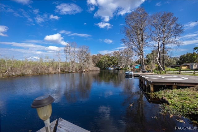 dock area featuring a water view