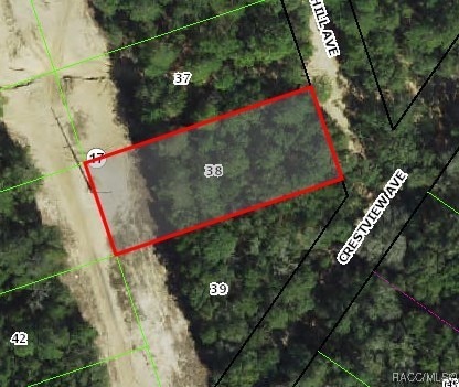 99 Webhill Ave, Inverness FL, 34452 land for sale