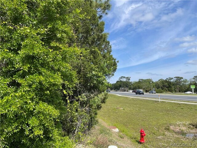 4584 S Suncoast Blvd, Homosassa, FL 34446 - photo 6