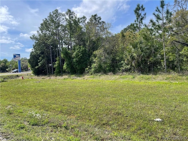 4584 S Suncoast Blvd, Homosassa, FL 34446 - photo 4