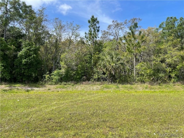4584 S Suncoast Blvd, Homosassa, FL 34446 - photo 2
