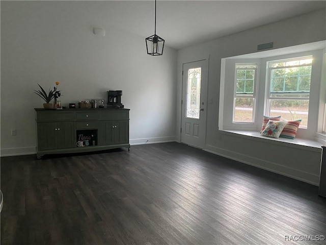 foyer entrance featuring dark wood-type flooring