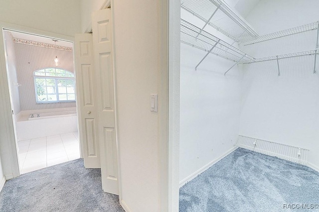 spacious closet with carpet