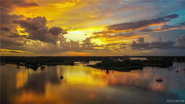 178 W Navarro Pl, Citrus Springs, FL 34434 - water view