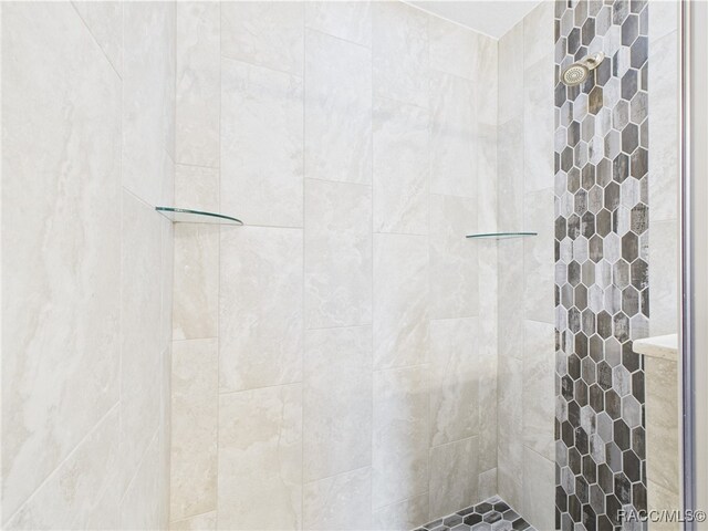 178 W Navarro Pl, Citrus Springs, FL 34434 - full bath with a tile shower