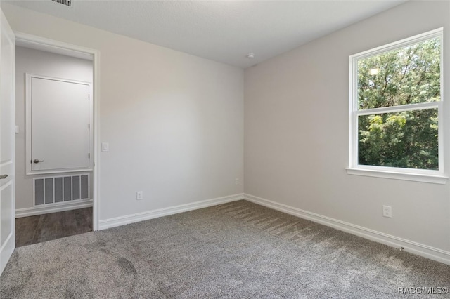 unfurnished room with carpet