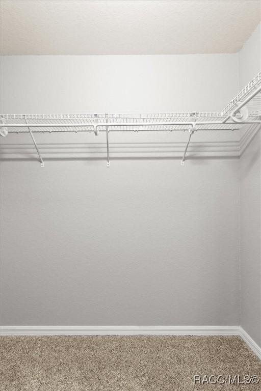 17 Eugenia Ct, Homosassa, FL 34446 - walk in closet featuring carpet