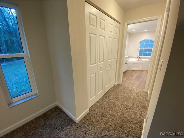 corridor featuring carpet floors