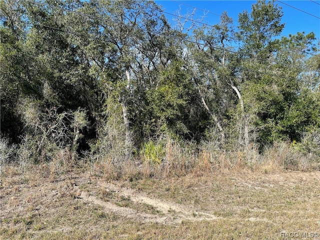 1510 S Rock Crusher Rd, Homosassa FL, 34448 land for sale