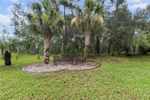 7 Floribunda Ct, Homosassa, FL 34446 - photo 43
