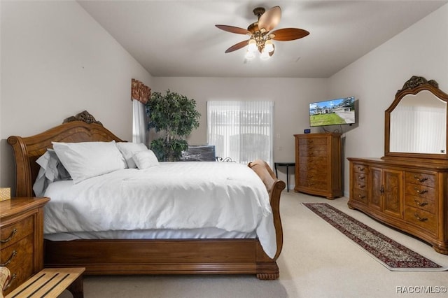 7 Floribunda Ct, Homosassa, FL 34446 - photo 17