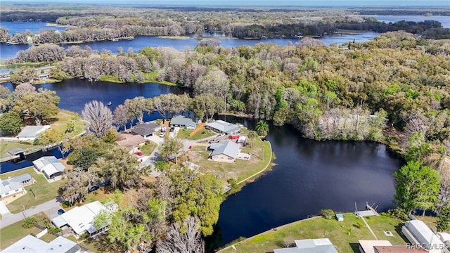 aerial view featuring a water view and a wooded view