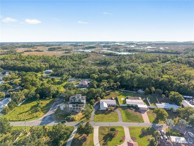 2310 N Watersedge Dr, Crystal River, FL 34429 - aerial overview of property's location with nearby suburban area