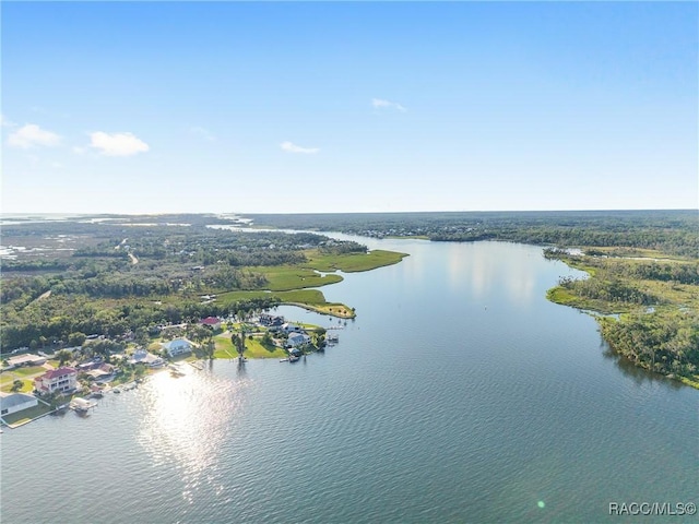 2310 N Watersedge Dr, Crystal River, FL 34429 - aerial view of a large body of water