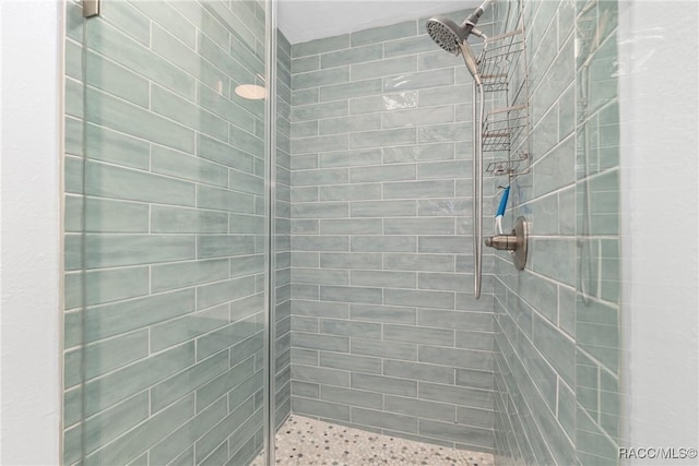 2310 N Watersedge Dr, Crystal River, FL 34429 - bathroom with a tile shower