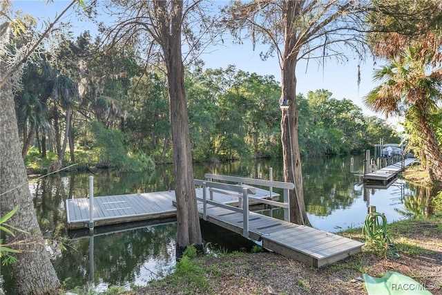 2310 N Watersedge Dr, Crystal River, FL 34429 - dock area featuring a water view