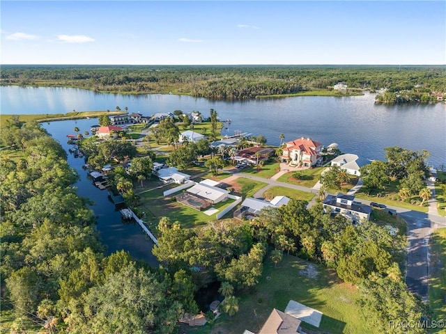 2310 N Watersedge Dr, Crystal River, FL 34429 - aerial overview of property's location featuring a large body of water and a forest