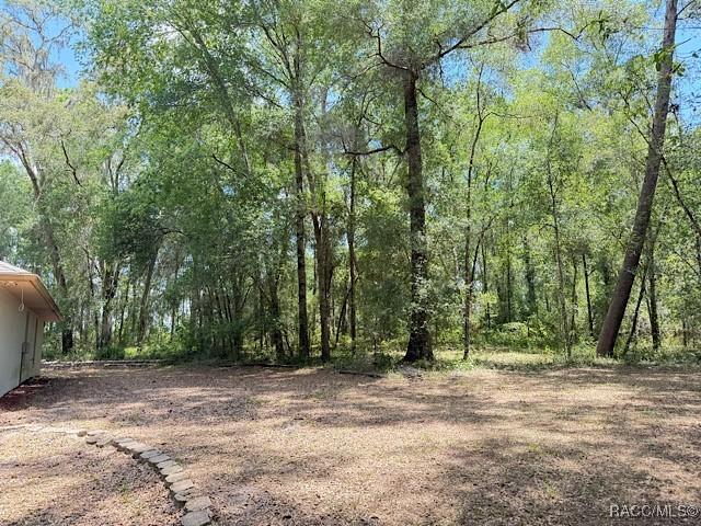 8949 E Floral Acres Ct, Floral City, FL 34436 - photo 3