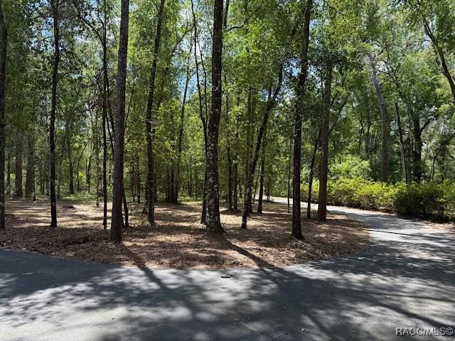 8949 E Floral Acres Ct, Floral City, FL 34436 - photo 11