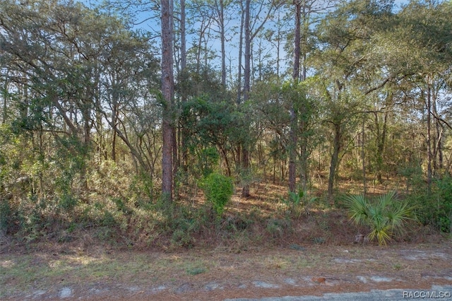 Listing photo 3 for BLK2LOT2 SE 124th Ct, Dunnellon FL 34431