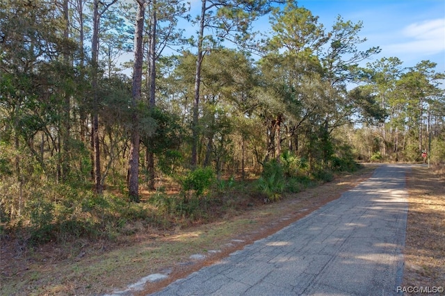 BLK2LOT2 SE 124th Ct, Dunnellon FL, 34431 land for sale