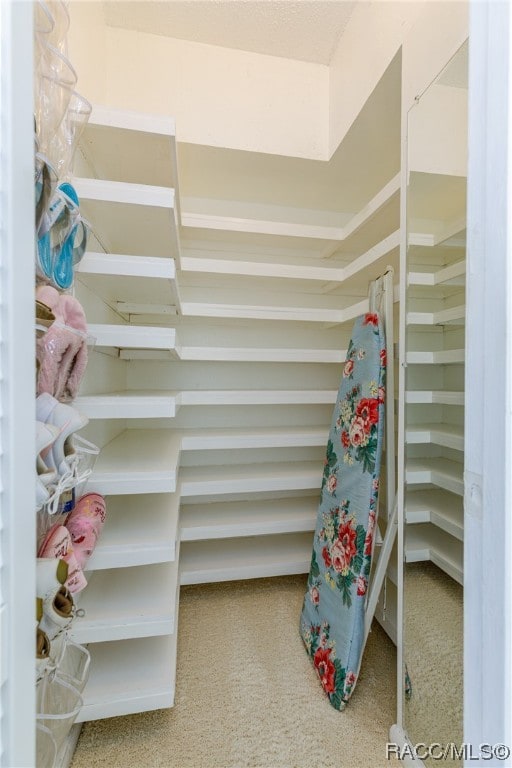 walk in closet with carpet flooring