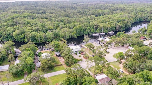 6611 Riverside Dr, Yankeetown, FL 34498 - photo 48
