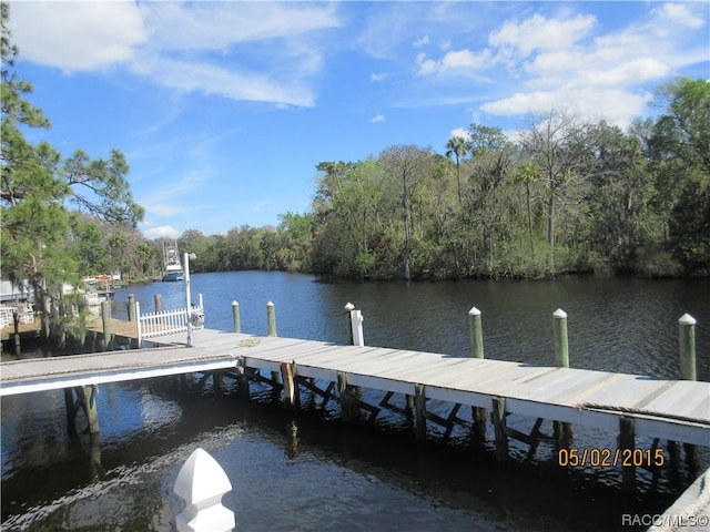 6611 Riverside Dr, Yankeetown, FL 34498 - photo 73