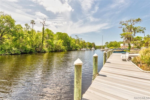 6611 Riverside Dr, Yankeetown, FL 34498 - photo 39