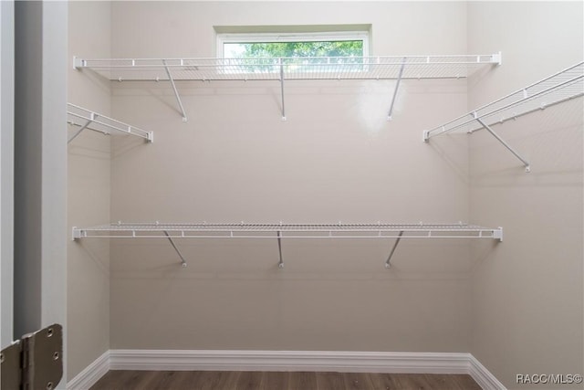 spacious closet with dark hardwood / wood-style floors