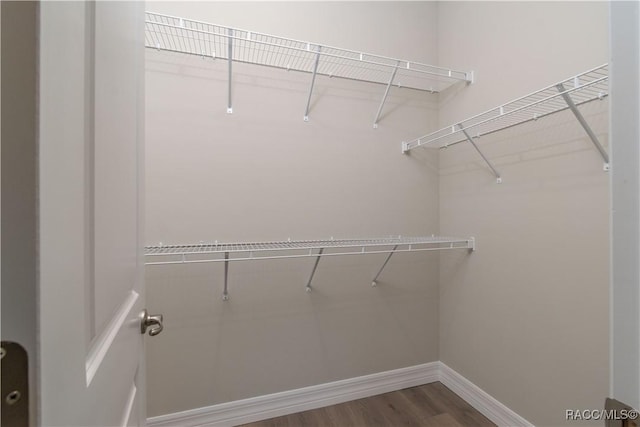 walk in closet with hardwood / wood-style floors